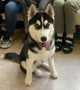 犬との暮らし方教室(7月)を開催しました