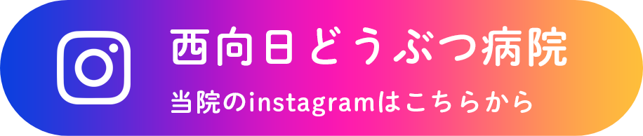 西向日どうぶつ病院 instagramはこちらから
