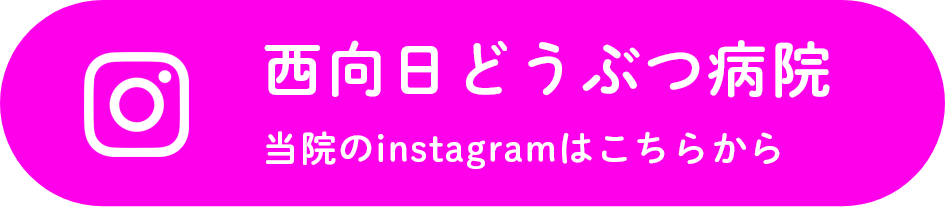 西向日どうぶつ病院 instagramはこちらから