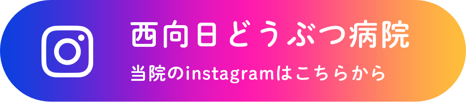 西向日どうぶつ病院 instagramはこちらから