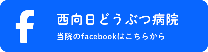 西向日どうぶつ病院 facebookはこちらから